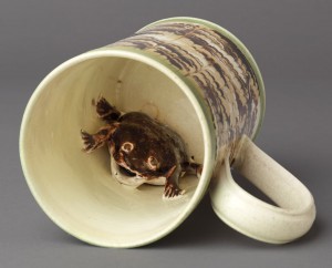 Dipped ware frog mug detail, 1992.40